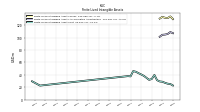 Finite Lived Intangible Assets Net