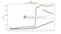 Finite Lived Intangible Assets Accumulated Amortization