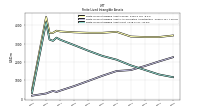 Finite Lived Intangible Assets Net