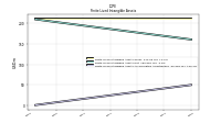 Finite Lived Intangible Assets Accumulated Amortization