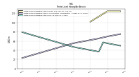 Finite Lived Intangible Assets Net