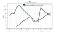 Finite Lived Intangible Assets Accumulated Amortization