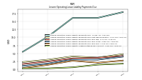 Lessee Operating Lease Liability Undiscounted Excess Amount