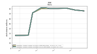 Common Stock Shares Issued