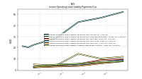 Lessee Operating Lease Liability Undiscounted Excess Amount