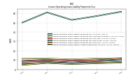 Lessee Operating Lease Liability Undiscounted Excess Amount