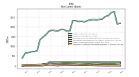 Intangible Assets Net Excluding Goodwill