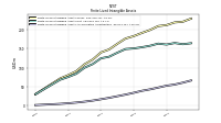 Finite Lived Intangible Assets Accumulated Amortization