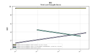 Finite Lived Intangible Assets Net