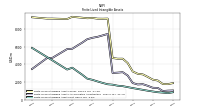 Finite Lived Intangible Assets Net