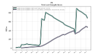 Finite Lived Intangible Assets Accumulated Amortization