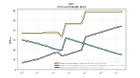 Finite Lived Intangible Assets Net