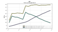 Finite Lived Intangible Assets Net