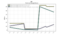 Finite Lived Intangible Assets Accumulated Amortization