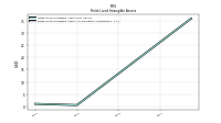 Finite Lived Intangible Assets Accumulated Amortization