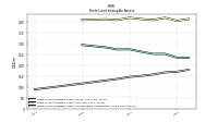 Finite Lived Intangible Assets Accumulated Amortization