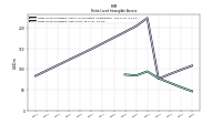 Finite Lived Intangible Assets Net