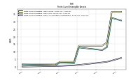 Finite Lived Intangible Assets Accumulated Amortization