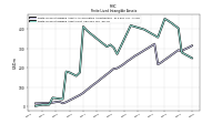 Finite Lived Intangible Assets Accumulated Amortization