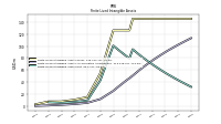 Finite Lived Intangible Assets Net