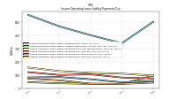 Lessee Operating Lease Liability Undiscounted Excess Amount