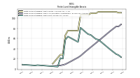 Finite Lived Intangible Assets Net