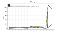 Finite Lived Intangible Assets Accumulated Amortization