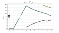 Finite Lived Intangible Assets Accumulated Amortization