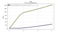 Finite Lived Intangible Assets Accumulated Amortization