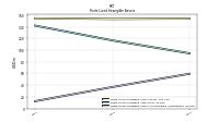 Finite Lived Intangible Assets Accumulated Amortization