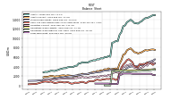 Long Term Debt