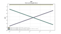 Finite Lived Intangible Assets Net