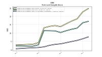 Finite Lived Intangible Assets Accumulated Amortization