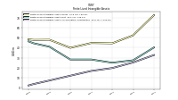 Finite Lived Intangible Assets Accumulated Amortization