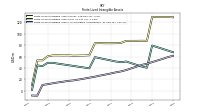 Finite Lived Intangible Assets Accumulated Amortization