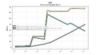 Finite Lived Intangible Assets Net