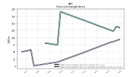 Finite Lived Intangible Assets Accumulated Amortization