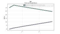 Finite Lived Intangible Assets Accumulated Amortization