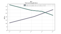 Finite Lived Intangible Assets Net