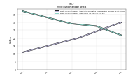 Finite Lived Intangible Assets Accumulated Amortization