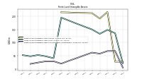 Finite Lived Intangible Assets Accumulated Amortization