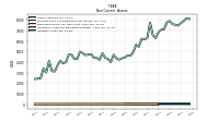 Intangible Assets Net Excluding Goodwill