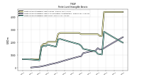 Finite Lived Intangible Assets Net