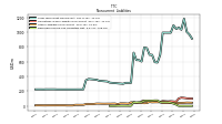 Deferred Income Tax Liabilities Net