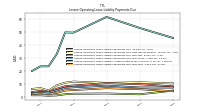 Lessee Operating Lease Liability Undiscounted Excess Amount