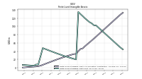 Finite Lived Intangible Assets Net