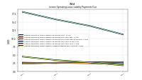 Lessee Operating Lease Liability Undiscounted Excess Amount