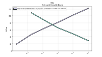 Finite Lived Intangible Assets Net