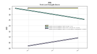 Finite Lived Intangible Assets Accumulated Amortization