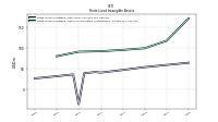 Finite Lived Intangible Assets Accumulated Amortization